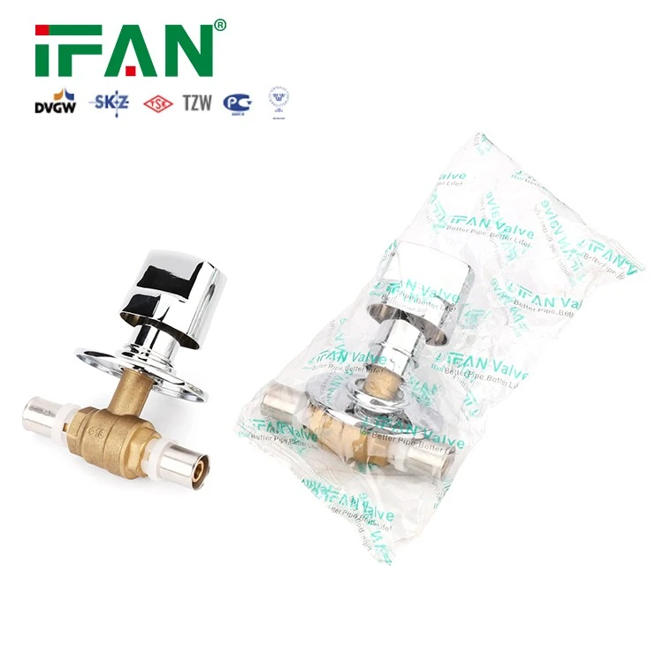 Concealed Valve (14)